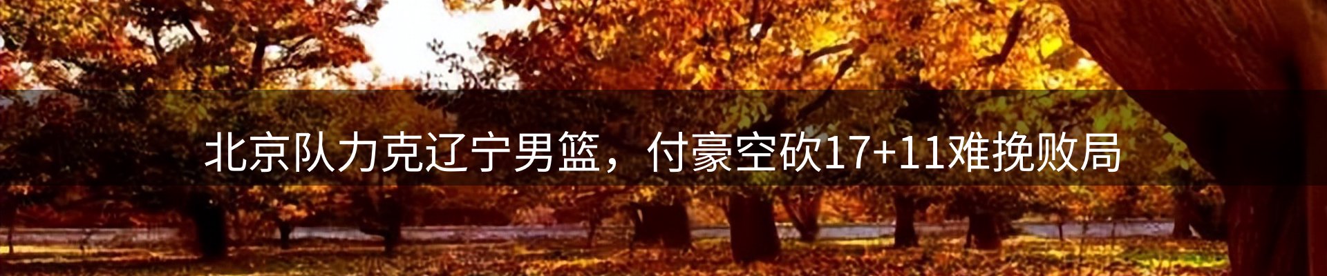 内页banner