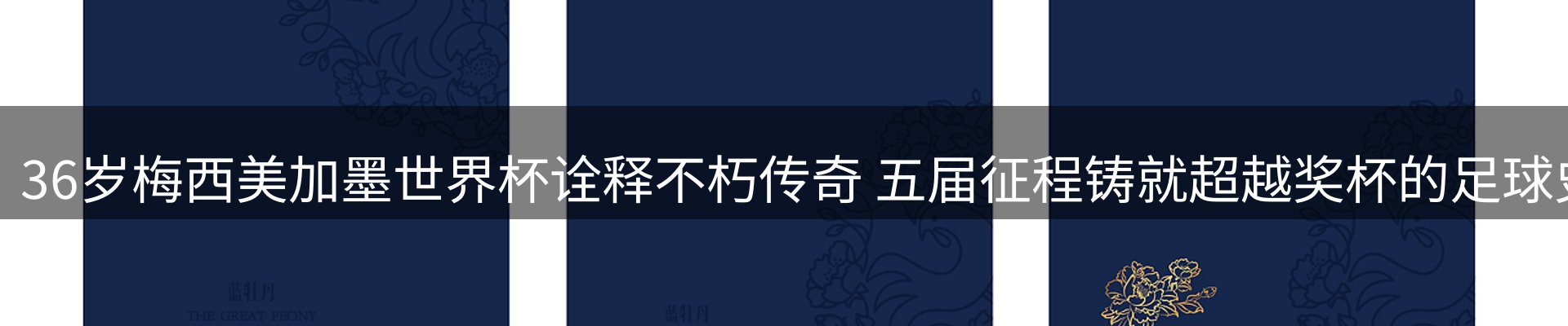 内页banner